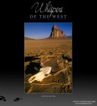 SHIPROCK AND SKULL